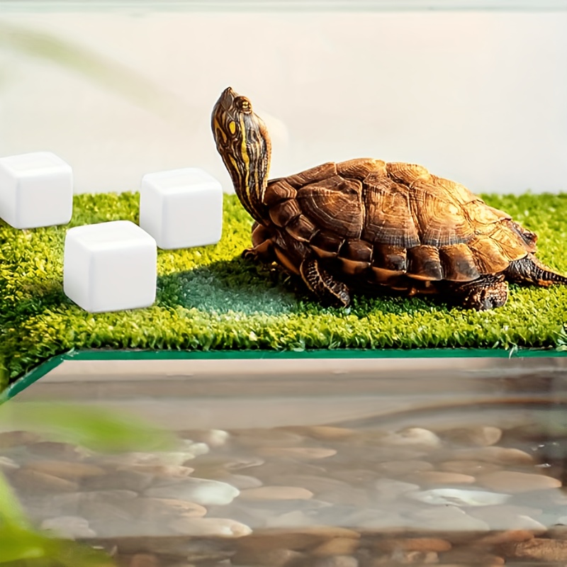 Bloques de calcio para pecera, - Calcium Powder Reptile reseña y precio